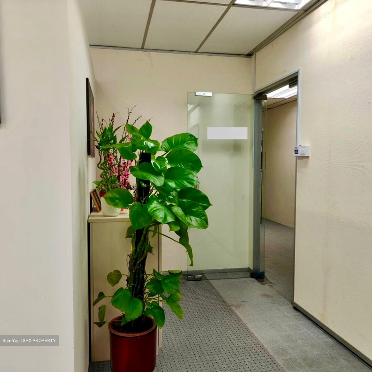 Tong Eng Building (D1), Office #585429781